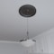 Ekena Millwork PVC Medallion (Canopies up to 11 1/2"), 19"OD x 3 1/2"ID x 1 1/2"P, Metallic Weathered Steel CMP19TRDST - alternate 10